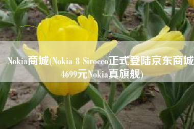 Nokia商城(Nokia 8 Sirocco正式登陆京东商城 4699元Nokia真旗舰)