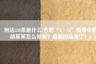 刑法238条是什么(合肥“4·18”疫情中的胡某某怎么处理？最新回应来了！)