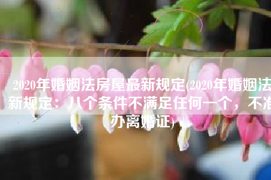 2020年婚姻法房屋最新规定(2020年婚姻法新规定：八个条件不满足任何一个，不准办离婚证)