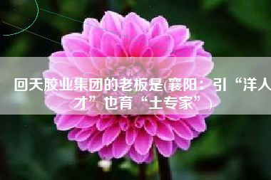回天胶业集团的老板是(襄阳：引“洋人才”也育“土专家”)