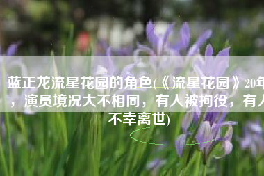 蓝正龙流星花园的角色(《流星花园》20年，演员境况大不相同，有人被拘役，有人不幸离世)