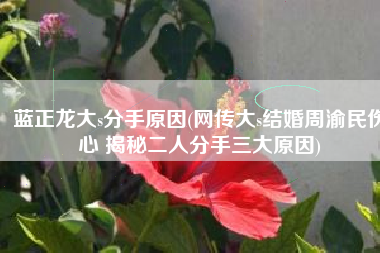 蓝正龙大s分手原因(网传大s结婚周渝民伤心 揭秘二人分手三大原因)