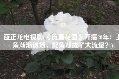 蓝正龙电视剧(《流星花园》开播20年：主角渐渐退场，配角却成了大流量？)