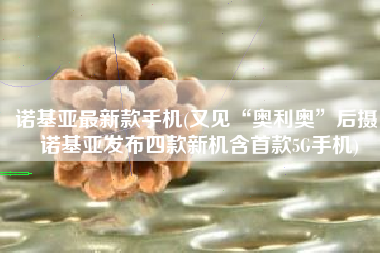 诺基亚最新款手机(又见“奥利奥”后摄 诺基亚发布四款新机含首款5G手机)