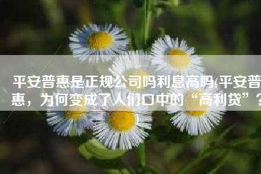 平安普惠是正规公司吗利息高吗(平安普惠，为何变成了人们口中的“高利贷”？)