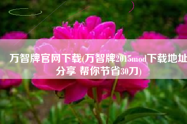 万智牌官网下载(万智牌2015mod下载地址分享 帮你节省30刀)