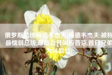 俄罗斯总统梅德韦杰夫(梅德韦杰夫:被称最懦弱总统,却敢公开叫板普京,昔日兄弟为何翻脸)