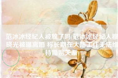 范冰冰经纪人被放了吗(范冰冰经纪人穆晓光被曝离婚 称长期在大陆工作无法维持婚姻关系)