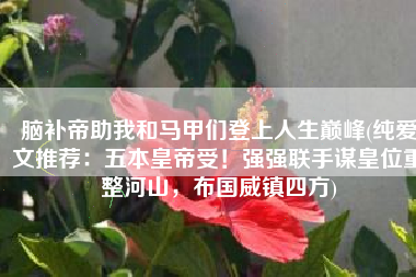 脑补帝助我和马甲们登上人生巅峰(纯爱文推荐：五本皇帝受！强强联手谋皇位重整河山，布国威镇四方)