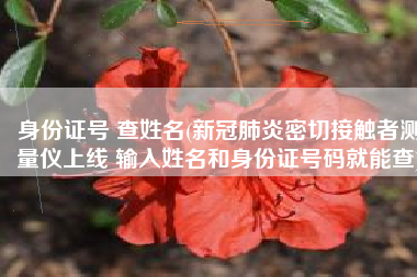 身份证号 查姓名(新冠肺炎密切接触者测量仪上线 输入姓名和身份证号码就能查)