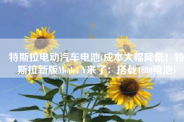 特斯拉电动汽车电池(成本大幅降低！特斯拉新版Model Y来了：搭载4680电池)