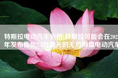 特斯拉电动汽车价格(特斯拉可能会在2023年发布售价2.5万美元的无方向盘电动汽车)