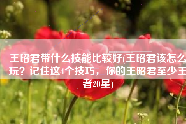 王昭君带什么技能比较好(王昭君该怎么玩？记住这4个技巧，你的王昭君至少王者20星)