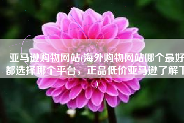 亚马逊购物网站(海外购物网站哪个最好都选择哪个平台，正品低价亚马逊了解下)
