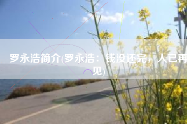 罗永浩简介(罗永浩：钱没还完，人已再见)