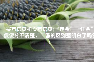 买方信贷和卖方信贷(“定金”“订金”傻傻分不清楚，二者的区别整明白了吗？)