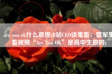 are you ok什么意思(B站CEO谈鬼畜：雷军鬼畜视频“Are You OK”是高中生做的)