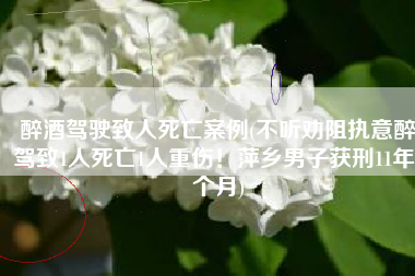 醉酒驾驶致人死亡案例(不听劝阻执意醉驾致1人死亡1人重伤！萍乡男子获刑11年6个月)