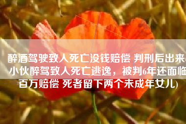 醉酒驾驶致人死亡没钱赔偿 判刑后出来(小伙醉驾致人死亡逃逸，被判6年还面临百万赔偿 死者留下两个未成年女儿)