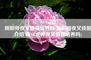 阴阳师夜叉值得培养吗(阴阳师夜叉技能介绍 新SR式神夜叉值得培养吗)