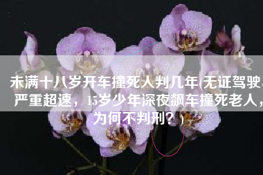 未满十八岁开车撞死人判几年(无证驾驶、严重超速，15岁少年深夜飙车撞死老人，为何不判刑？)