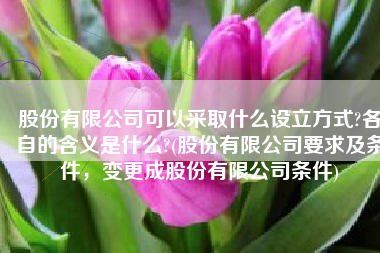 股份有限公司可以采取什么设立方式?各自的含义是什么?(股份有限公司要求及条件，变更成股份有限公司条件)