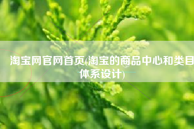 淘宝网官网首页(淘宝的商品中心和类目体系设计)