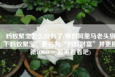 蚂蚁聚宝怎么没有了(悔创阿里马老头旗下蚂蚁聚宝”更名为“蚂蚁财富”并更换新LOGO 一起来看看吧)
