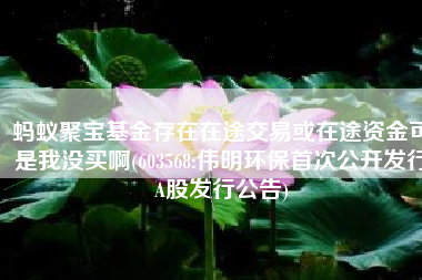 蚂蚁聚宝基金存在在途交易或在途资金可是我没买啊(603568:伟明环保首次公开发行A股发行公告)