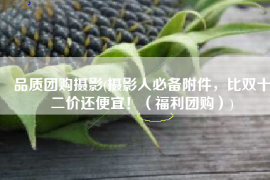 品质团购摄影(摄影人必备附件，比双十二价还便宜！（福利团购）)