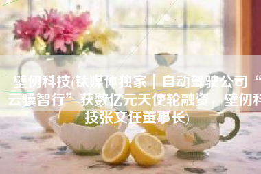 壁仞科技(钛媒体独家｜自动驾驶公司“云骥智行”获数亿元天使轮融资，壁仞科技张文任董事长)