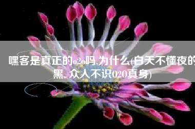 嘿客是真正的o2o吗,为什么(白天不懂夜的黑, 众人不识O2O真身)