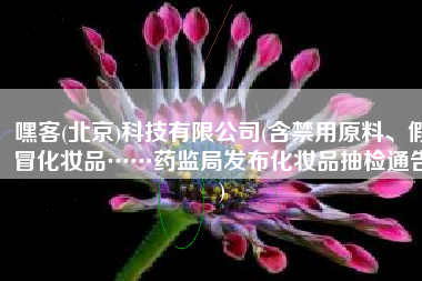 嘿客(北京)科技有限公司(含禁用原料、假冒化妆品……药监局发布化妆品抽检通告)