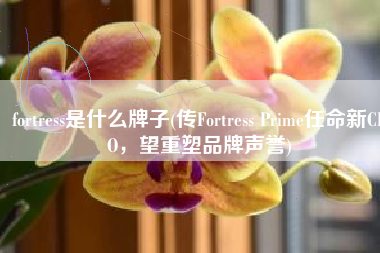 fortress是什么牌子(传Fortress Prime任命新CEO，望重塑品牌声誉)