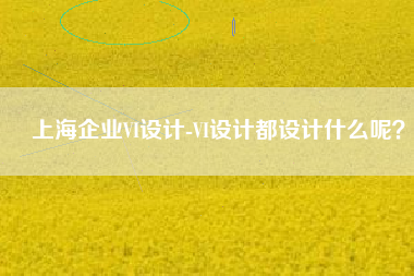 上海企业VI设计-VI设计都设计什么呢？
