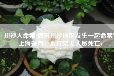川沙人命案(浦东川沙地区发生一起命案？上海警方：系打架无人员死亡)