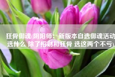 狂骨御魂(阴阳师：新版本自选御魂活动选什么 除了招财和狂骨 选这两个不亏)