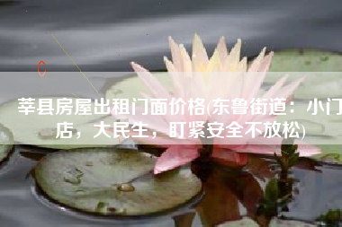 莘县房屋出租门面价格(东鲁街道：小门店，大民生，盯紧安全不放松)