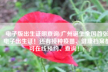 电子版出生证明查询(广州诞生全国首张电子出生证！还有接种疫苗、健康档案都可在线预约、查询！)