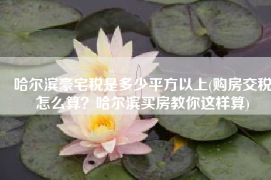 哈尔滨豪宅税是多少平方以上(购房交税怎么算？哈尔滨买房教你这样算)