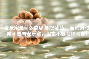 老东家是什么意思(职场忠告：面试的时候不要骂老东家，但也不要夸福利好)