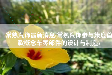 常熟汽饰最新消息(常熟汽饰参与集度首款概念车零部件的设计与制造)