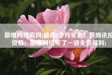散爆网络官网(最高2个月奖金！获腾讯投资后，散爆网络发了一波全员福利)