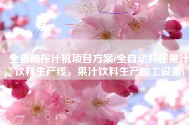 全自动榨汁机项目方案(全自动鲜榨果汁饮料生产线，果汁饮料生产加工设备)