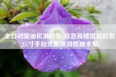 全自动柴油机消防泵(应急高楼层消防泵，2.5寸手抬式柴油消防抽水泵)