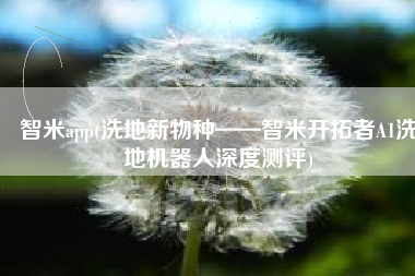 智米app(洗地新物种——智米开拓者A1洗地机器人深度测评)