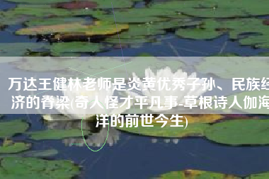 万达王健林老师是炎黄优秀子孙、民族经济的脊梁(奇人怪才平凡事-草根诗人伽海洋的前世今生)