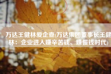 万达王健林爱企查(万达集团董事长王健林：企业进入赚辛苦钱、赚慢钱时代)