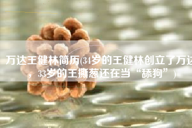 万达王健林简历(34岁的王健林创立了万达，33岁的王撕葱还在当“舔狗”)