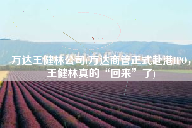 万达王健林公司(万达商管正式赴港IPO，王健林真的“回来”了)